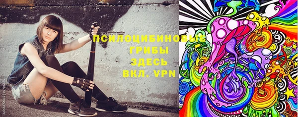экстази Богородицк
