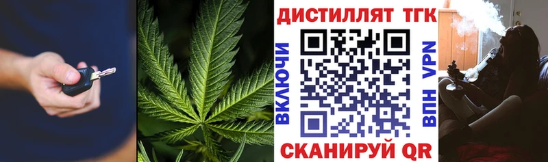 ТГК вейп с тгк  продажа наркотиков  hydra tor  Бологое 