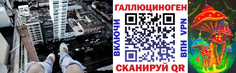 ссылка на мегу зеркало  Бологое  Галлюциногенные грибы Psilocybe 